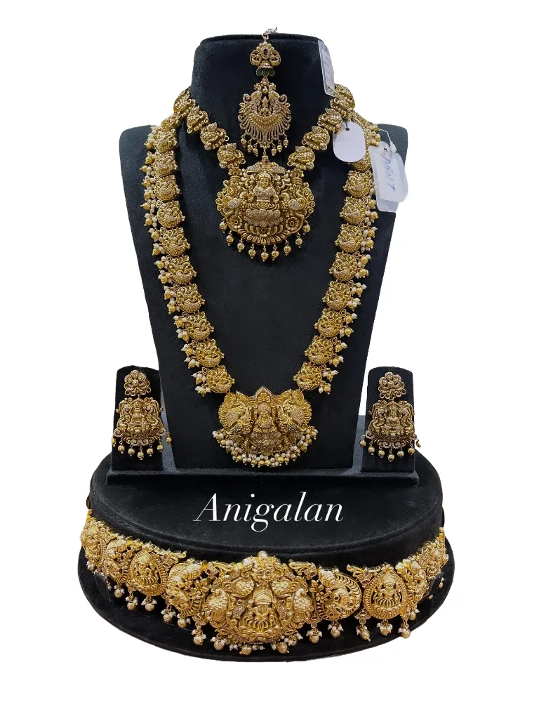 BD Antique 11 (1).webp